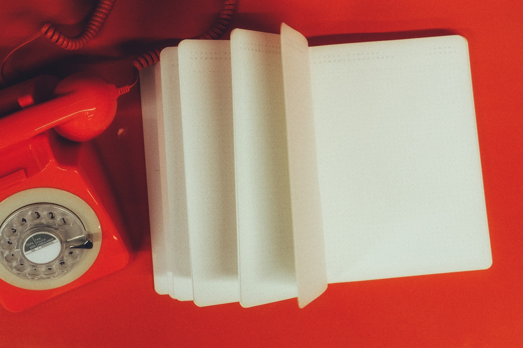 Carnet Griffe du Lion
